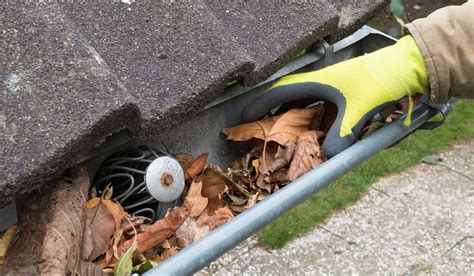 How to clean gutters from the ground. Things To Know About How to clean gutters from the ground. 
